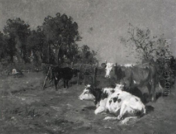 Kuhe Auf Der Weide - view 1