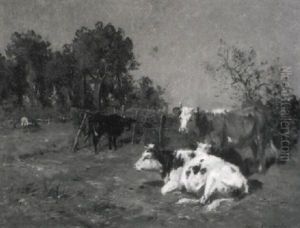 Kuhe Auf Der Weide Kuhe Auf Der Weide