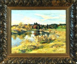 Weiher Mit Schilf Und Strauchern Am Ufer