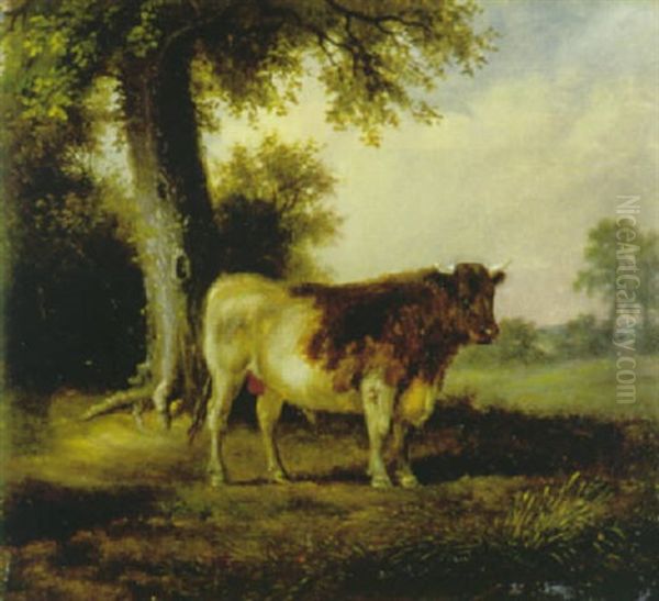 Der Weissbraune Stier - view 1
