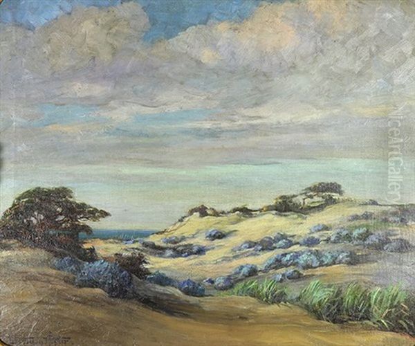 Lupine And Cyprus On The Monterey Coast - view 1