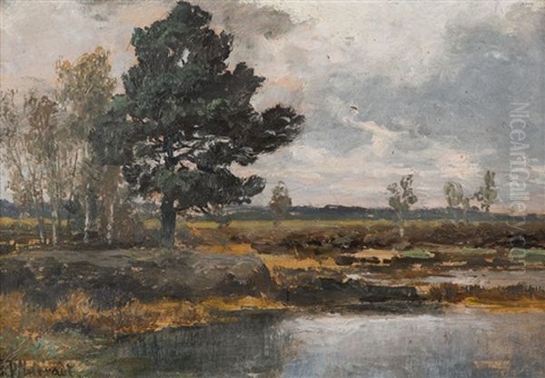 Am Bodden - view 1