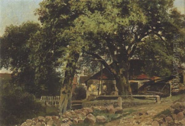 Bauernhauser Unter Alten Baumen (auf Hiddensee?) - view 1