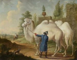 "ein Dromedarius Oder Trampeltier Und Cameel..."