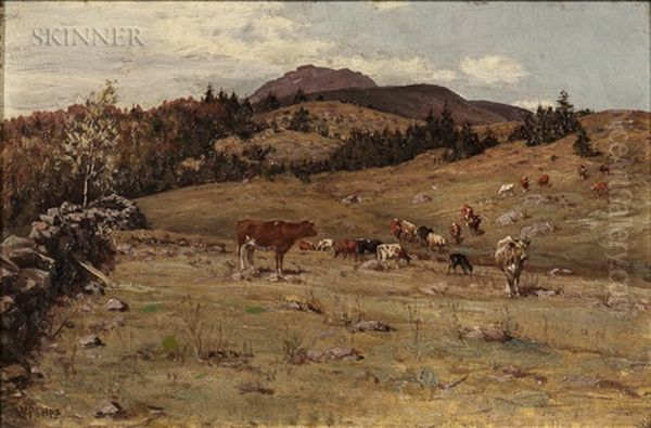 Upland Pasture - view 1