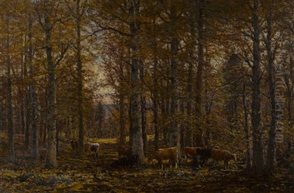 In The Forest - view 1
