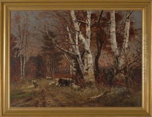 Sheep Grazing Along A Country Road Amongst A Stand Of Birch Trees