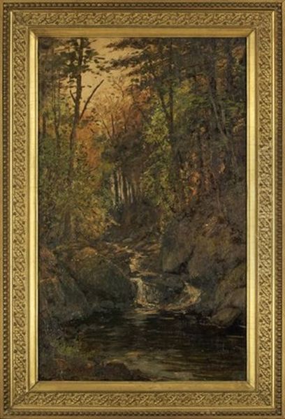 Woodland Landscape View With A Rushing Stream - view 1