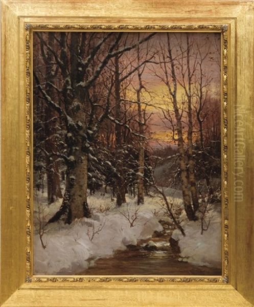 Winter Morning In The Forest - view 1