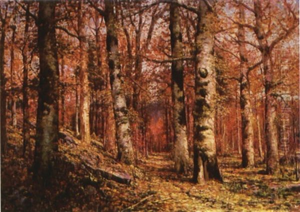 Wooded Path I - view 1