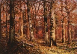 Wooded Path I by William Preston Phelps
