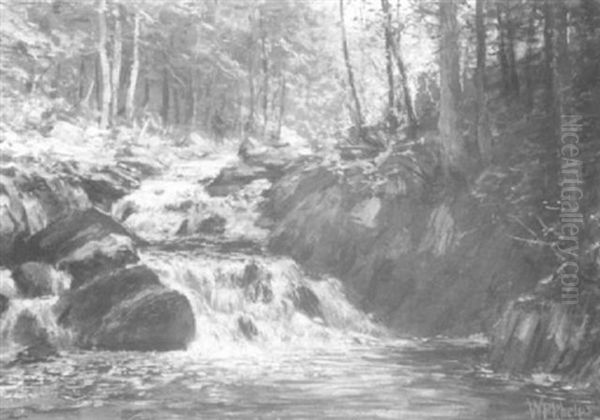 Cascading Stream Through A Forest - view 1
