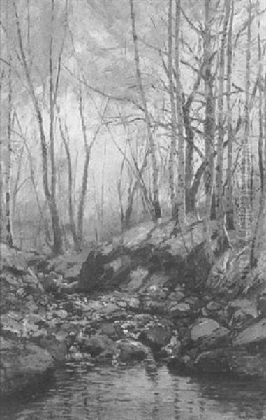 Woodland Stream - view 1