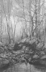 Woodland Stream Woodland Stream