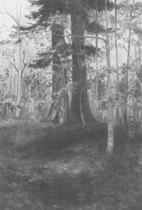 Wooded Landscape Wooded Landscape
