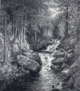 Wooded Landscape With Waterfall by William Preston Phelps