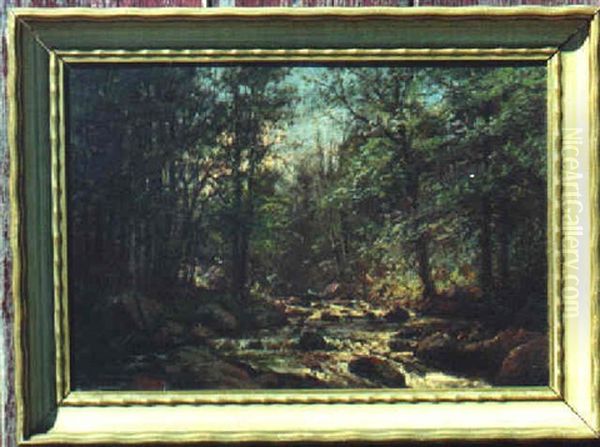 Forest Stream - view 1