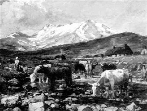 An Alpine Pasture View - view 1