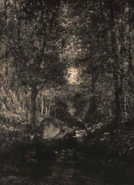 A Brook In The Forest - view 1