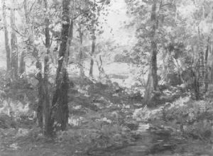 Wooded Landscapes Wooded Landscapes