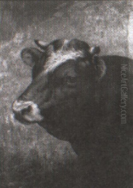 Head Of A Cow - view 1