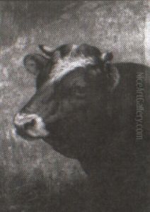 Head Of A Cow