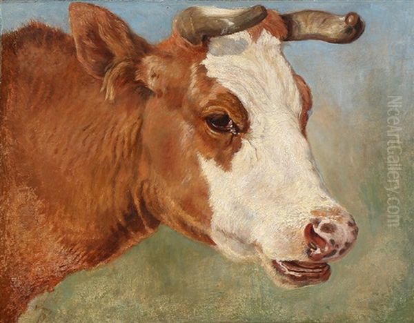 A Cow - view 1