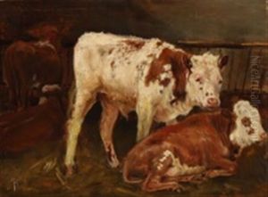 Cattle In A Stable