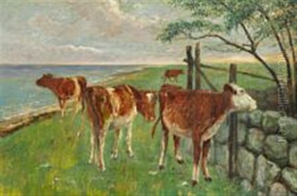 Calves Grazing On Saltholm - view 1