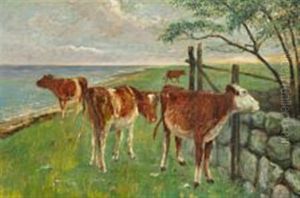 Calves Grazing On Saltholm