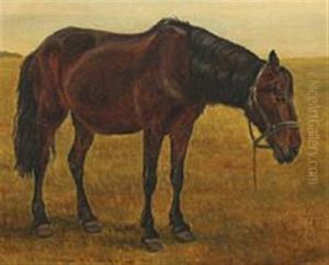 A Horse