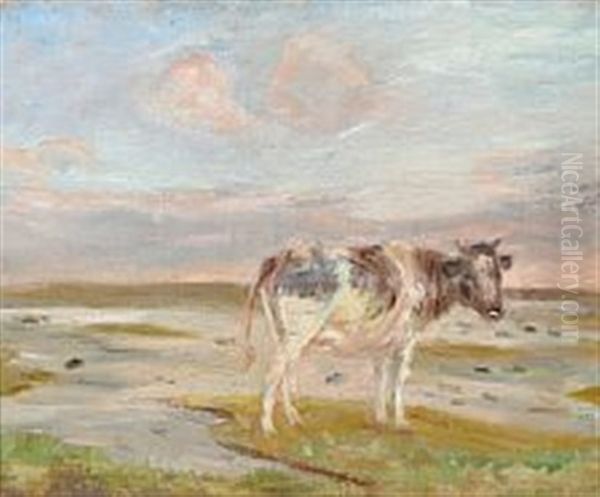 A Grazing Cow In Stormy Weather - view 1