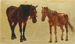 Study Of Two Horses Study Of Two Horses