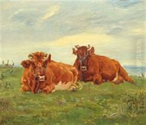 Cows That Chew The Cud, Saltholm C. 1890