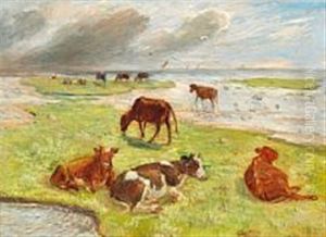 A Windy Summer Day At Saltholm