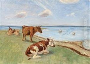 Cattle On Saltholm Island