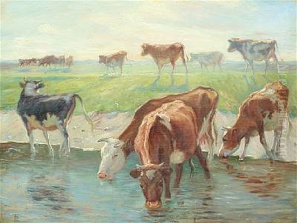 Calves And Cows At The Watering Place, Saltholm In Sunlight - view 1