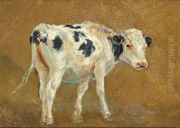 A Black Mottled Calf - view 1