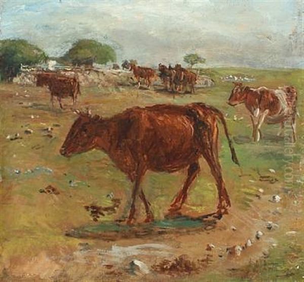 Grazing Cows At Saltholm - view 1