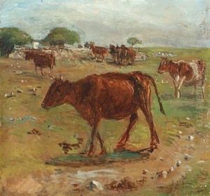 Grazing Cows At Saltholm