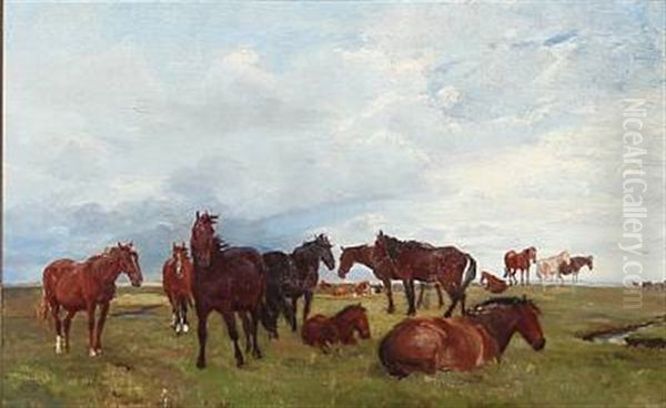 Horses On Saltholm, Denmark - view 1