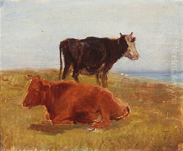 Two Grazing Cows - view 1