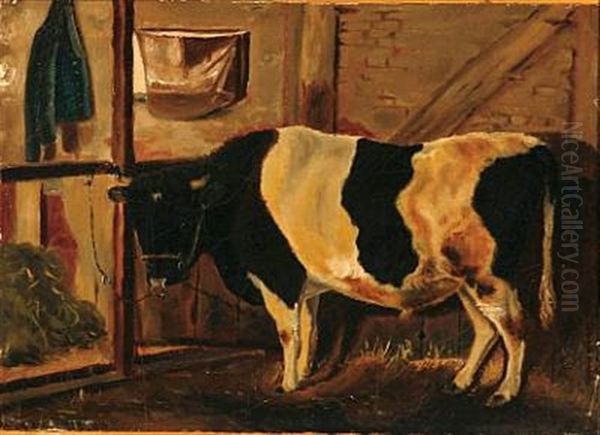 Black-and-white Bull In The Stables - view 1