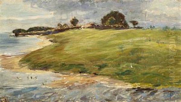 Fra Saltholm Strand - view 1