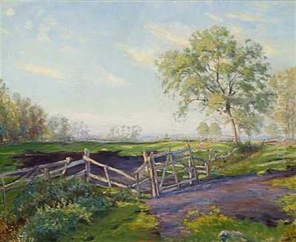 Dansk Sommerlandskab - view 1