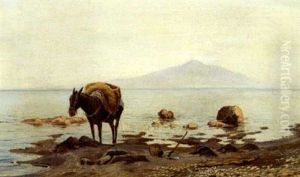 Stranden Ved Sorrent. Et Muldaesel I Strandkanten Stranden Ved Sorrent. Et Muldaesel I Strandkanten