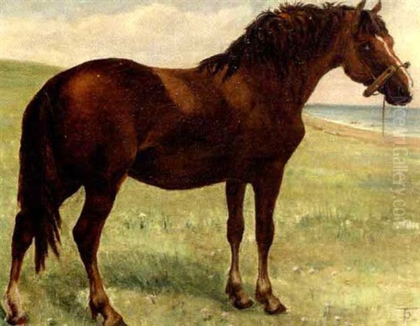 Hest Pa En Strandeng - view 1