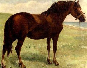 Hest Pa En Strandeng
