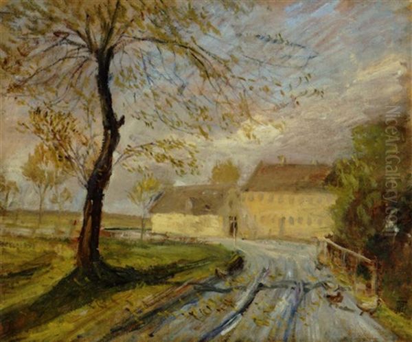 Damshuskroen. Bygevejr - view 1