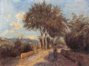 Via Del Olmo